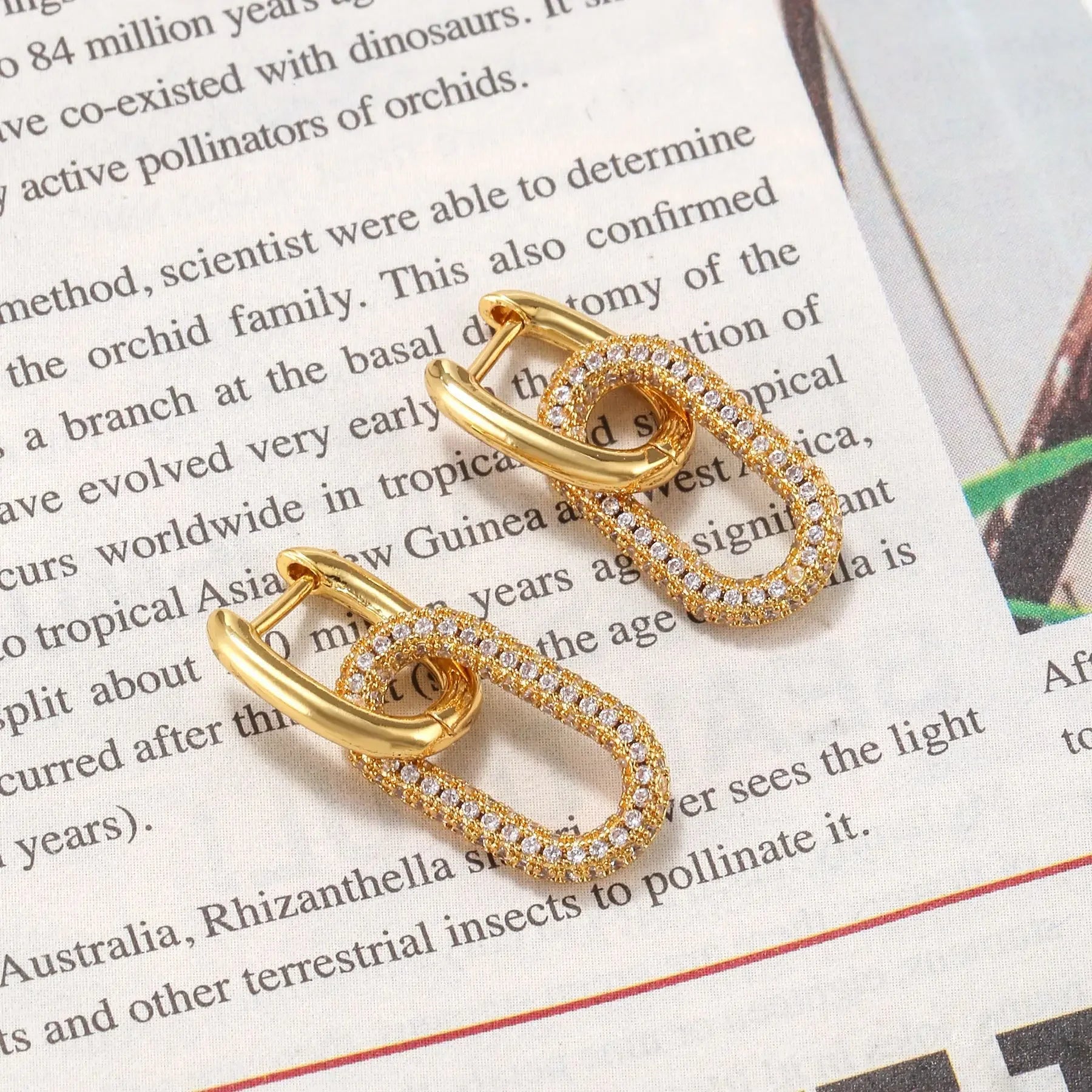 Luna Loop Earrings
